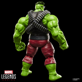 G2405 Marvel Legends Series Professor Hulk