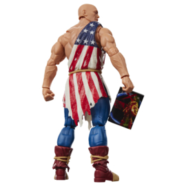 G2412 Marvel Legends Series Captain America (Earth X)