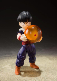 Dragon Ball Z - S.H. Figuarts AF Son Gohan (Kid Era)