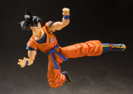 S.H. Figuarts Dragonball Z Son Goku (A Saiyan Raised On Earth)