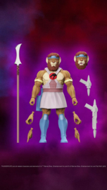 Thundercats Ultimates Action Figure Thunderian Guard