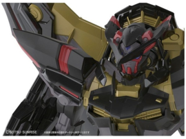 1/144 RG Gundam Astray Gold Frame Amatsu Mina