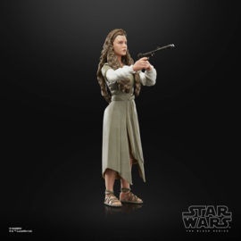 Star Wars Episode VI Black Series Princess Leia (Ewok Village) [F4352]