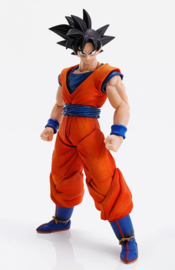 Dragon Ball Z Imagination Works Action Figure 1/9 Son Goku