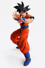 Dragon Ball Z Imagination Works Action Figure 1/9 Son Goku