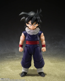 S.H. Figuarts Dragon Ball Z-fighters Son Gohan