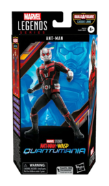 F6573 Ant-Man and the Wasp: Quantumania Marvel Legends The Antman