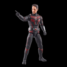 F6573 Ant-Man and the Wasp: Quantumania Marvel Legends The Antman