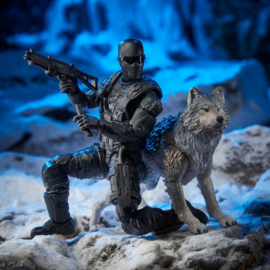 G.I. Joe CS AF 2-Pack 2021 Snake Eyes & Timber: Alpha Commandos