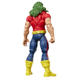 G2407 Marvel Legends Series Marvel's Doc Samson