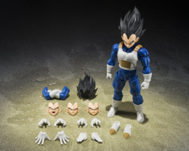 S.H.Figuarts Dragon Ball Z Vegeta