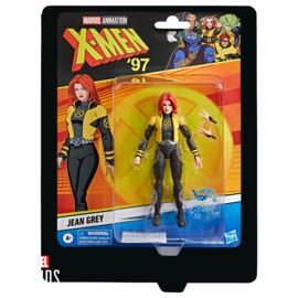 Marvel/ DC Action Figures