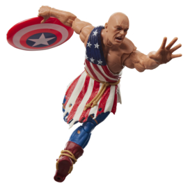 G2412 Marvel Legends Series Captain America (Earth X)
