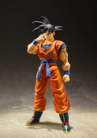 S.H. Figuarts Dragonball Z Son Goku (A Saiyan Raised On Earth)