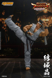 Virtua Fighter 5 Ultimate Showdown 1/12 Akira Yuki