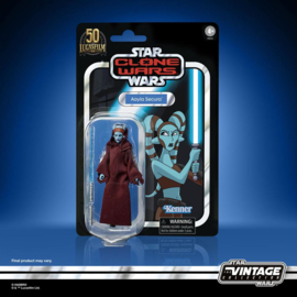 Hasbro Star Wars Vintage Collection AF 2022 Aayla Secura