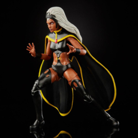 Marvel Legends X-men AF 2020 Storm & Marvel's Thunderbird [2-pack]