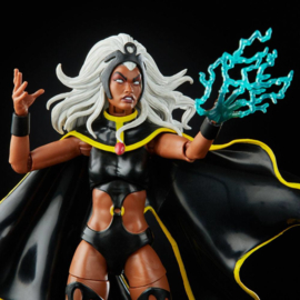 Marvel Legends X-men AF 2020 Storm & Marvel's Thunderbird [2-pack]