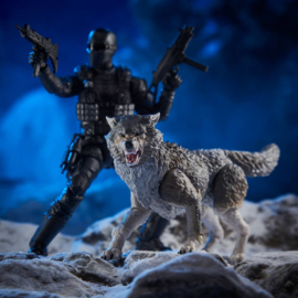 G.I. Joe CS AF 2-Pack 2021 Snake Eyes & Timber: Alpha Commandos