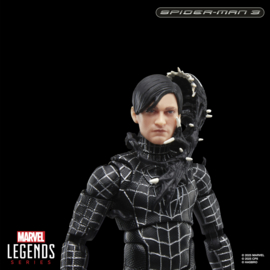G0589 Marvel Legends Series Spider-Man 3