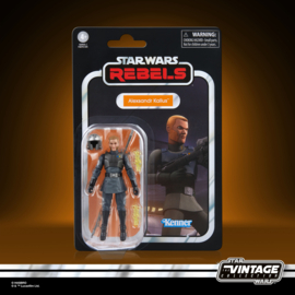 G0933 Star Wars The Vintage Collection Alexsandr Kallus