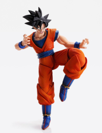 Dragon Ball Z Imagination Works Action Figure 1/9 Son Goku
