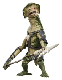 G2995 Star Wars: The Mandalorian and Grogu Vintage Collection Amani Guard