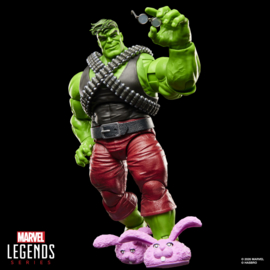 G2405 Marvel Legends Series Professor Hulk