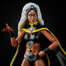 Marvel Legends X-men AF 2020 Storm & Marvel's Thunderbird [2-pack]