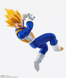 Dragon Ball Z Imagination Works Action Figure 1/9 Vegeta