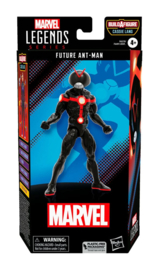 F6579 Ant-Man and the Wasp: Quantumania Marvel Legends Future Ant-Man