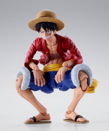 S.H. Figuarts Monkey D. Luffy -Two Years Later-