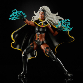 Marvel Legends X-men AF 2020 Storm & Marvel's Thunderbird [2-pack]