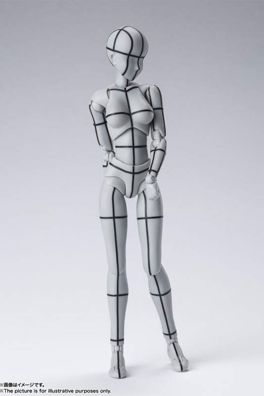 Body Chan Wire Frame [Gray Color Ver.]