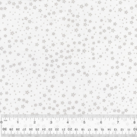 Anthology:  Becoulorful Blush-  Silver Stars- 229BCB27QX