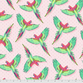 Tula Pink - Daydreamer -  Macaw Ya Later - PWTP170.DRAGONFRUIT