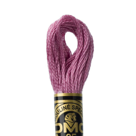 DMC borduurgaren Mouliné - Kleur: 316