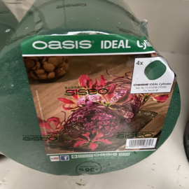 Oasis Cake