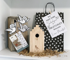 Cadeau meester namens klas | Vogelhuis + inkleur vogeltjes