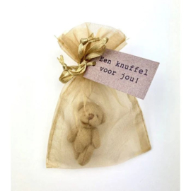 Troost cadeau brievenbus cadeau | Een knuffel voor jou + beertje