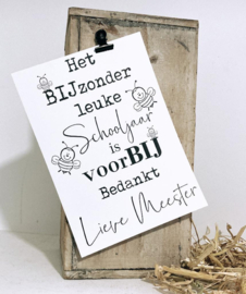 Cadeau voor de juf of meester | DIY bijenhotel