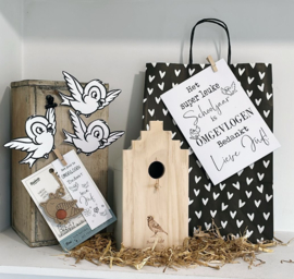 Cadeau juf namens klas | Vogelhuis + inkleur vogeltjes
