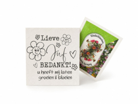 Cadeautje juf | bloemenzaadjes