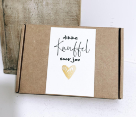 Troost cadeau brievenbus cadeau | Een knuffel voor jou + beertje