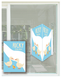geboortebord ❤︎ raambord ❤︎ raamsticker | eendjes 118