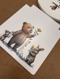 Stoeltje | dieren 041