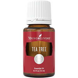 Tea Tree (teatree) 15ml