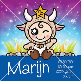 Geboortecanvas sterrenbeeld, Steenbok jongen: 23 dec. - 19 jan.