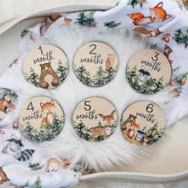 Houten milestones