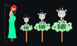 Geboortebord tuin | Baby wandelwagen *Kies je kleur!*